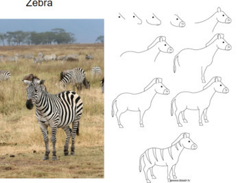 african grassland drawings