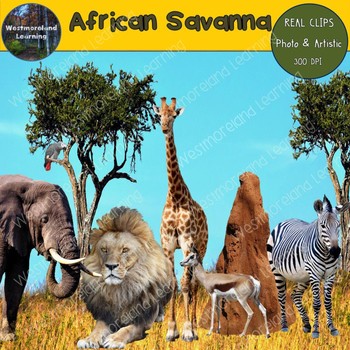 African Savanna Habitat Animals Clip Art Photo & Artistic Digital Stickers