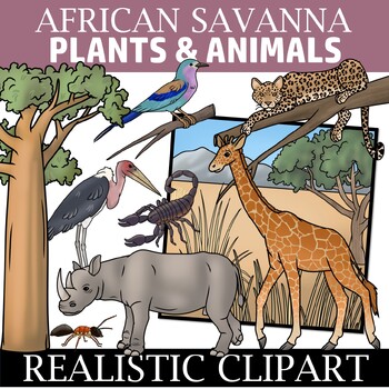 Preview of African Savanna Clip Art - Ecosystem Clipart
