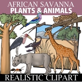 African Savanna Clip Art - Ecosystem Clipart