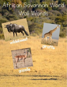 Preview of African Savannah Word Wall Words