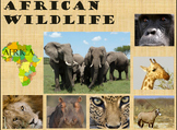 African Wildlife Lecture and Notes