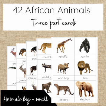 Preview of 42 African Animals