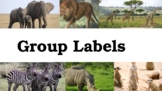 African animal theme group labels/table labels
