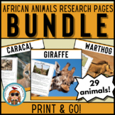 African animals reading and writing pages bundle with 29 n