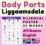Afrikaans Body Parts Poster | BODY PARTS Afrikaans English