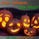 After Halloween... Now What?