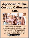 Agenesis of the Corpus Colosum 101: Factsheet