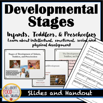 Preview of Ready-to-Use Child Development Activity ~ FACS, FCS, Life Skills