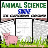 Agriculture Pigs Comprehension Passage W/Crossword for Mid