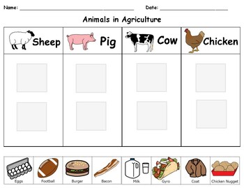 Animal Products Teaching Resources | TPT
