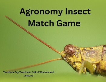 Preview of Agronomy Insect Matching Game