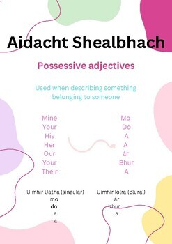 Preview of Aidiacht Shealbhach