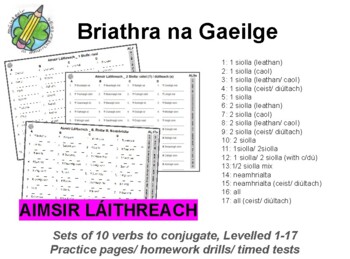 Preview of Aimsir Láithreach Briathra Drills