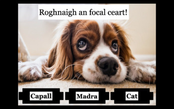 Preview of Ainmhithe - Gaeilge - Animals - Irish