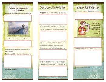 Air Pollution - Brochure Project - Rubric and Examples | TpT