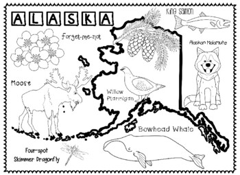 Alaska's State Symbols by Connecting with Social Studies | TPT