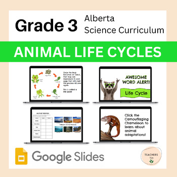 Preview of Alberta Grade 3 Science- ANIMAL LIFE CYCLES-Google Slides Complete Unit- 
