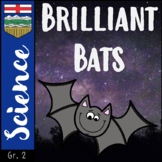 Alberta Science │Small Crawling & Flying Creatures - Bats