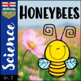 Alberta Science │Small Crawling & Flying Creatures - Honeybees