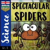 Alberta Science │Small Crawling & Flying Creatures - Spiders