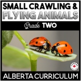 Animals That Crawl And Fly Teaching Resources | TPT
