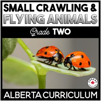 Alberta Science | Small Crawling and Flying Animals by Coreas Creations