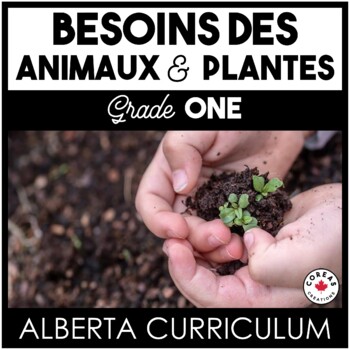 Preview of Alberta sciences | Besoins des animaux et des plantes