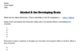 Alcohol & the Developing Brain Worksheet