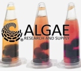 Algae Beads Module for High School (All Lessons):  36-pages, 14-days instruction