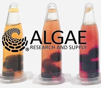 Preview of Algae Beads Module for High School (All Lessons):  36-pages, 14-days instruction