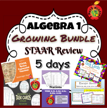 Preview of Algebra 1 STAAR Review Bundle (5 days)