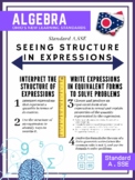 Ohio's Algebra 1 Standards - Poster Edition