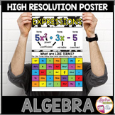 Algebra Poster Algebraic Expressions and Identifying Like Terms