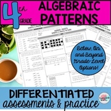 Algebraic Patterns - Number and Shape Pattern Differentiat