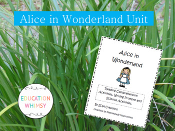 Preview of Alice in Wonderland Activities