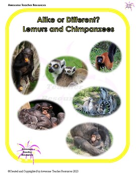 Preview of Alike or Different? Lemurs and Chimps Comprehension and Essay: GR5