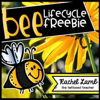 Preview of All About Bees minibook, graphic organizers freebie!