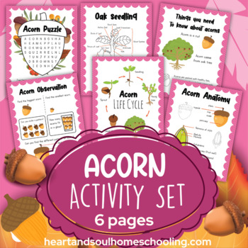 Preview of All About Acorns Life Cycle Coloring Pages Worksheets Activities