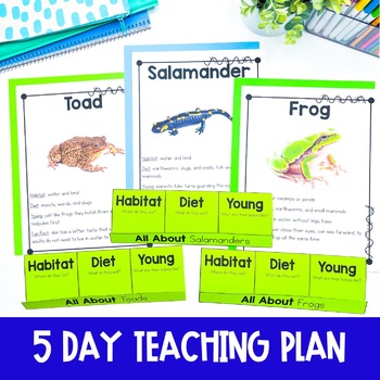 Amphibians Unit: Fact Pages, Life Cycle, Interactive Notebook Pages