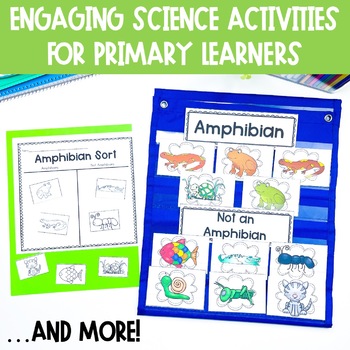 Amphibians Unit: Fact Pages, Life Cycle, Interactive Notebook Pages