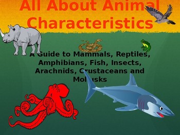 All About Animal Characteristics by Kids N D Know | TpT