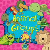 All About Animal Groups