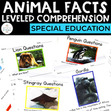 Animal Facts: Leveled Comprehension for Special Education