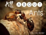 All About Ants {An Ant Life Cycle Unit}