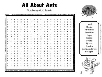 Ants Worksheet Activity Science By Green Apple Lessons Tpt