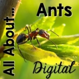 All About Ants Digital