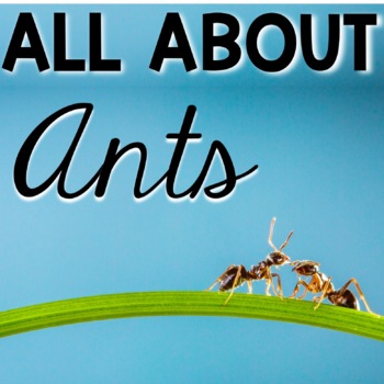 Preview of All About Ants Life Cycle