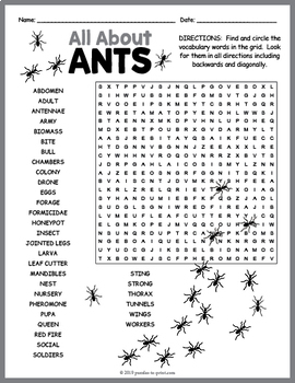word search puzzle maker adults