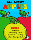 FREEBIE All About Apples for Kindergarten and First Grade